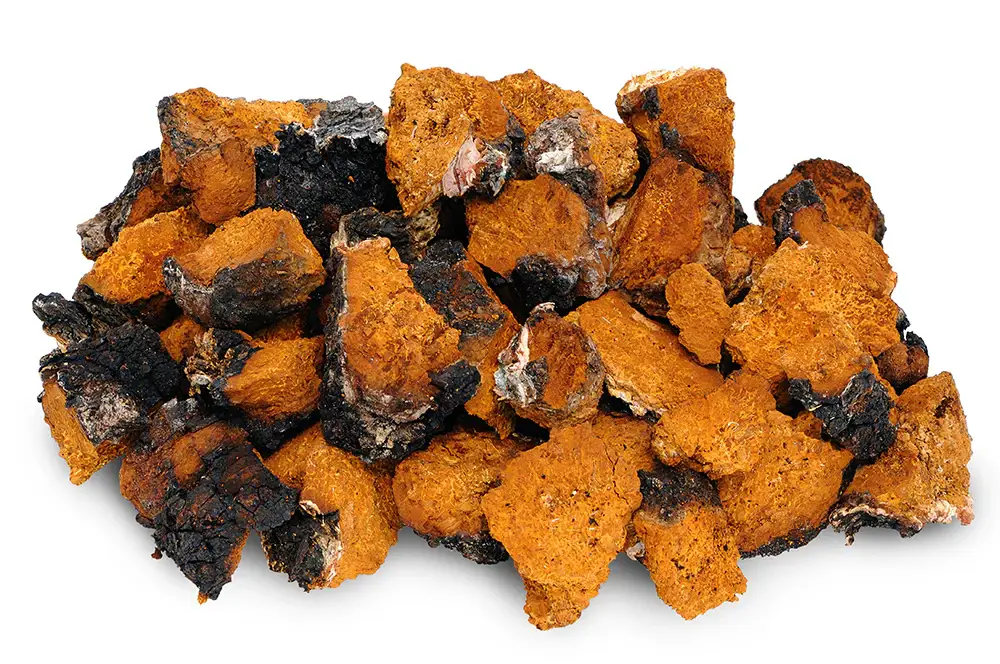 Chaga Mushroom Benefits (Nutritional Information, Comparison with Other Superfoods, How to Consume) 4 0.1chaga
