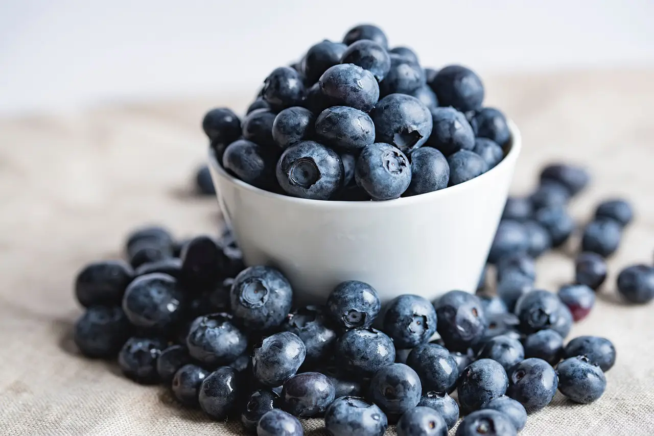 Blueberry Benefits and Side Effects (Nutritional Information, Precautions, Recommended Daily Intake, Calories, How to Eat) 2 bilberries 2559051 1280