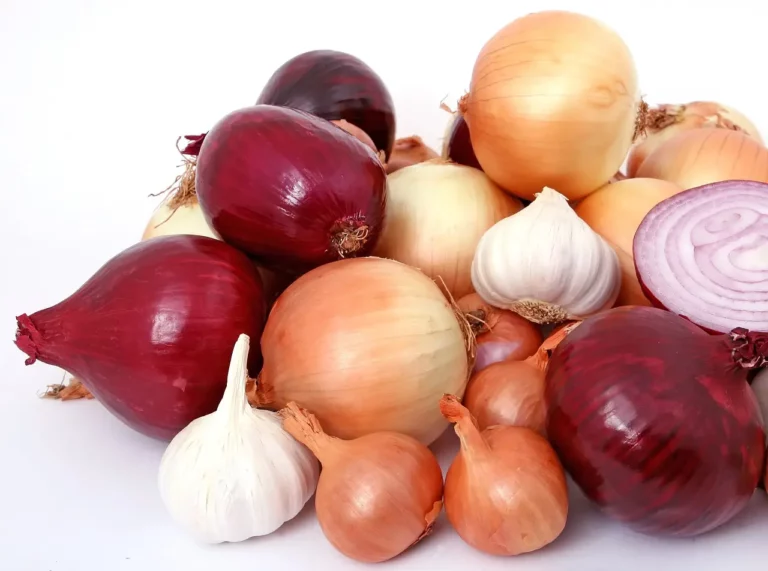 Onion Benefits (Nutritional Information, Types, Selection, Storage, Consumption)