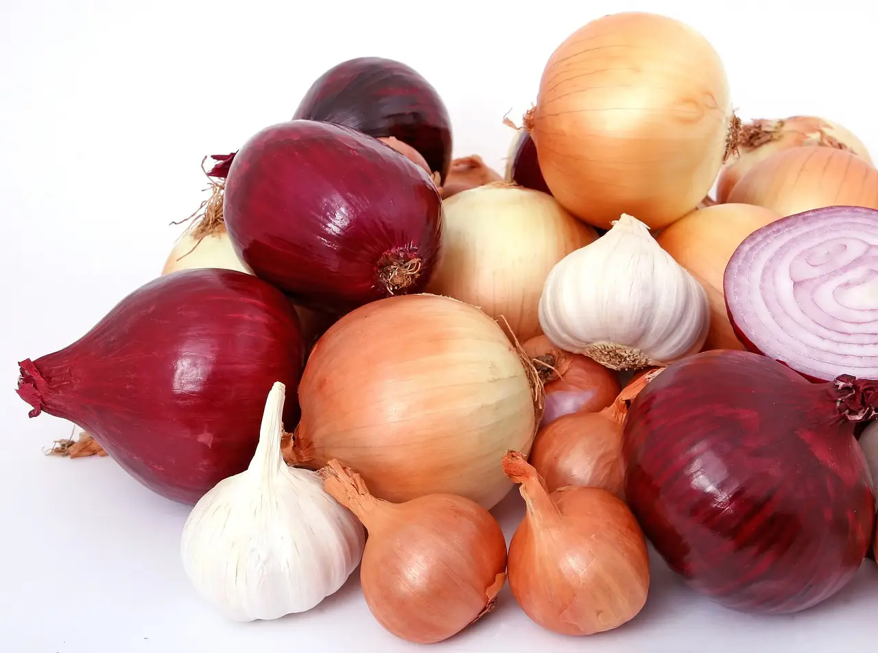 Onion Benefits (Nutritional Information, Types, Selection, Storage, Consumption) 4 onions 1238332 1280