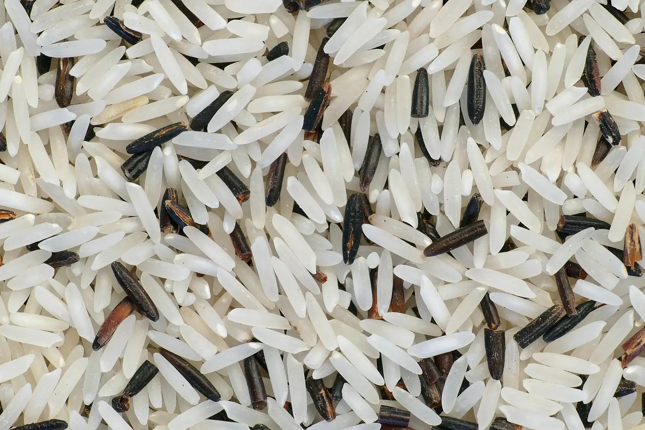 Rice Bran Benefits and Side Effects (Nutritional Information, Uses, and Precautions) 2 rice 5236375 1280