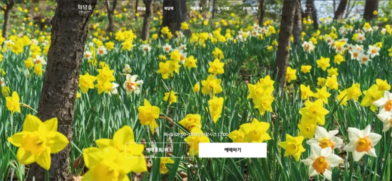 화담숲 홈페이지 바로가기 및 예약 방법 (입장료, 모노레일, 단풍 시기) www.hwadamsup.com